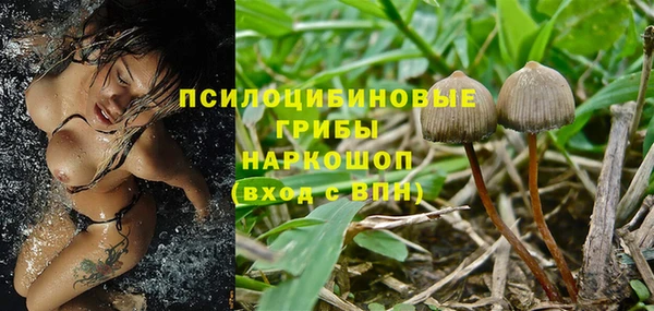 jwh Белокуриха