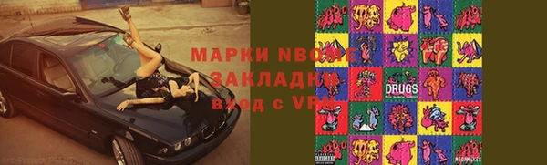 индика Беломорск