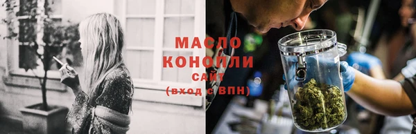 индика Беломорск