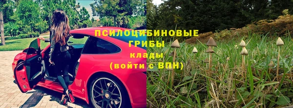 jwh Белокуриха