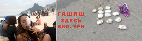 индика Беломорск