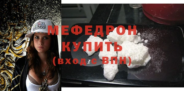 индика Беломорск