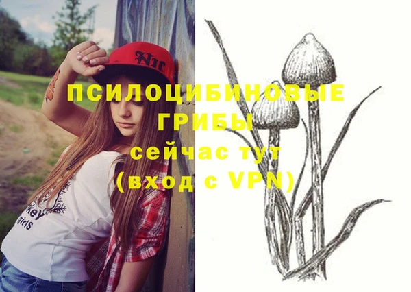 jwh Белокуриха