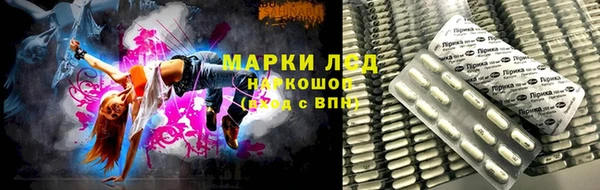 индика Беломорск